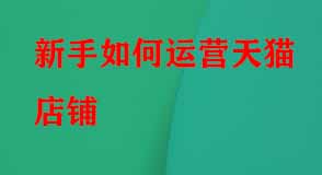 新手如何運(yùn)營天貓店鋪