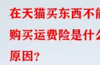 在天貓買東西不能購(gòu)買運(yùn)費(fèi)險(xiǎn)是什么原因？