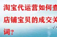 淘寶代運營如何查看店鋪寶貝的成交關鍵詞？