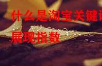 什么是淘寶關鍵詞展現指數？它的作用是什么？