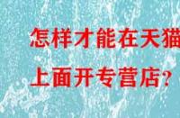 怎樣才能在天貓上面開專營店？