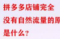 拼多多店鋪完全沒(méi)有自然流量的原因是什么？