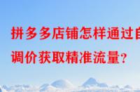 拼多多店鋪怎樣通過自動調(diào)價(jià)獲取精準(zhǔn)流量？